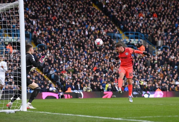 Photo by Stu Forster/Getty Images