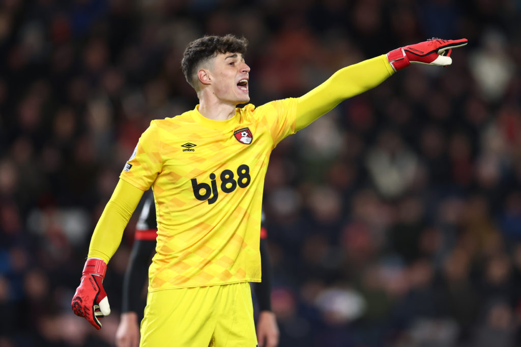 AFC Bournemouth v Brentford FC - Premier League