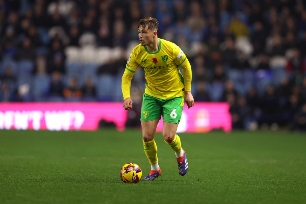 Sheffield Wednesday FC v Norwich City FC - Sky Bet Championship