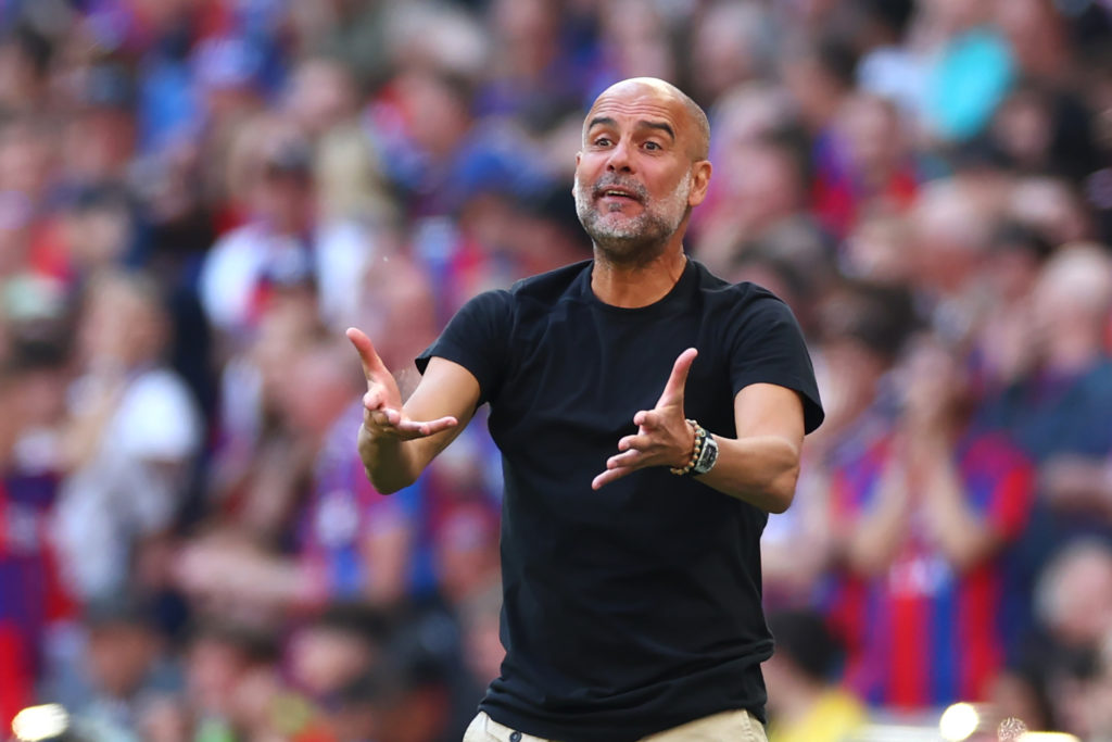 Crystal Palace v Manchester City - Emirates FA Cup Final